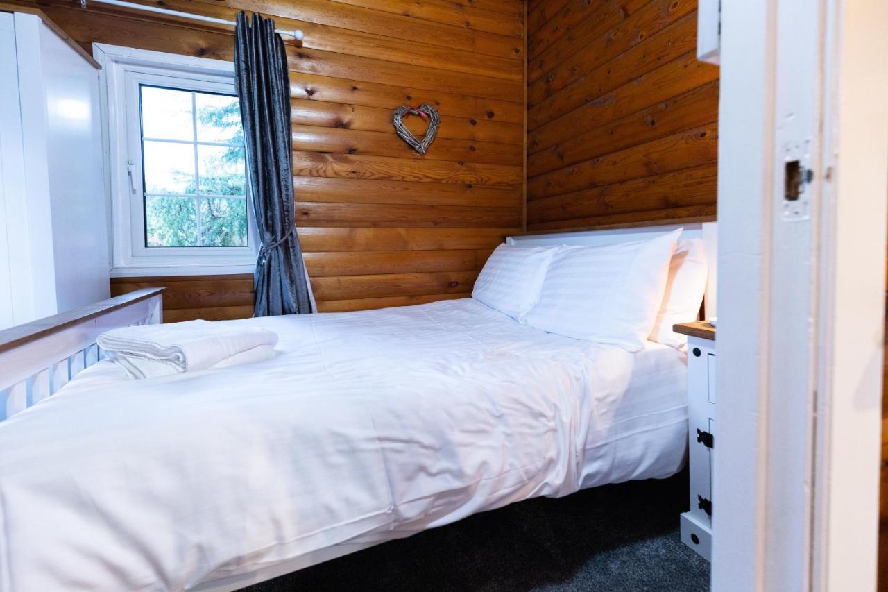 Mountain View Log Cabin In Snowdonia Nr Coed Y Brenin Tanygrisiau エクステリア 写真