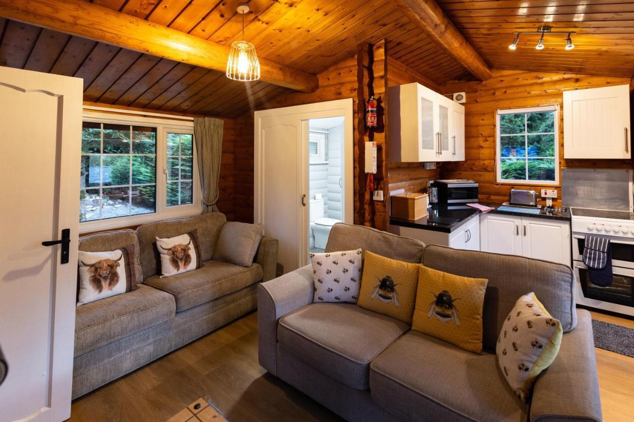 Mountain View Log Cabin In Snowdonia Nr Coed Y Brenin Tanygrisiau エクステリア 写真