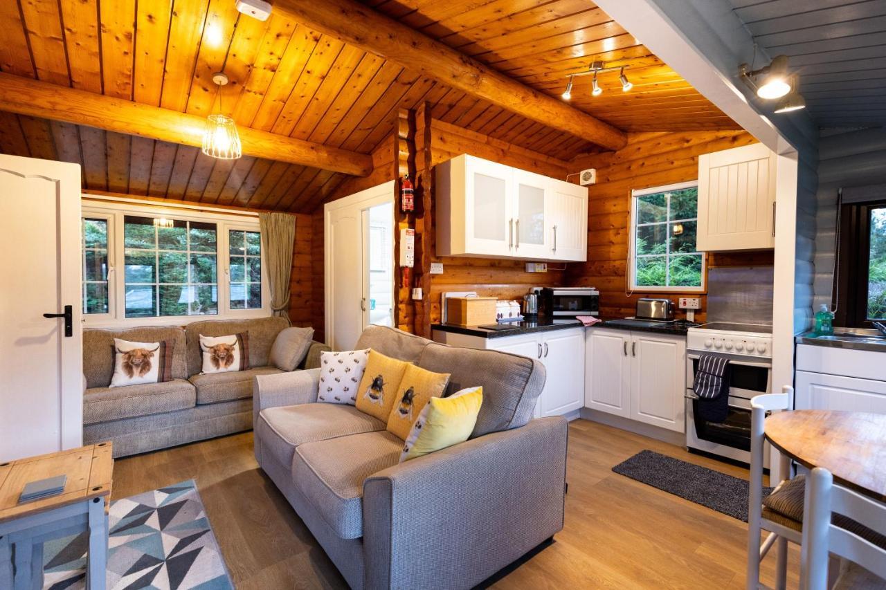 Mountain View Log Cabin In Snowdonia Nr Coed Y Brenin Tanygrisiau エクステリア 写真